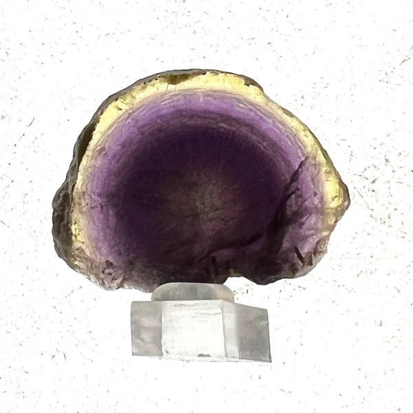 Sliced Botryoidal Fluorite from Klein Spitzkoppe Area, Erongo Region, Namibia