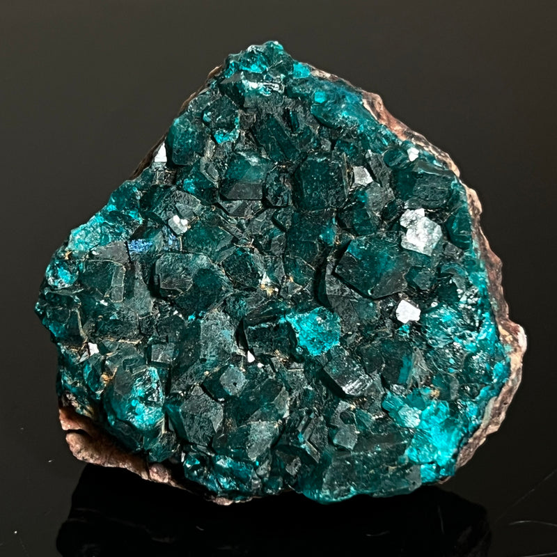 Druzy Dioptase Crystal, Mineral Specimen from Katanga, DR Congo