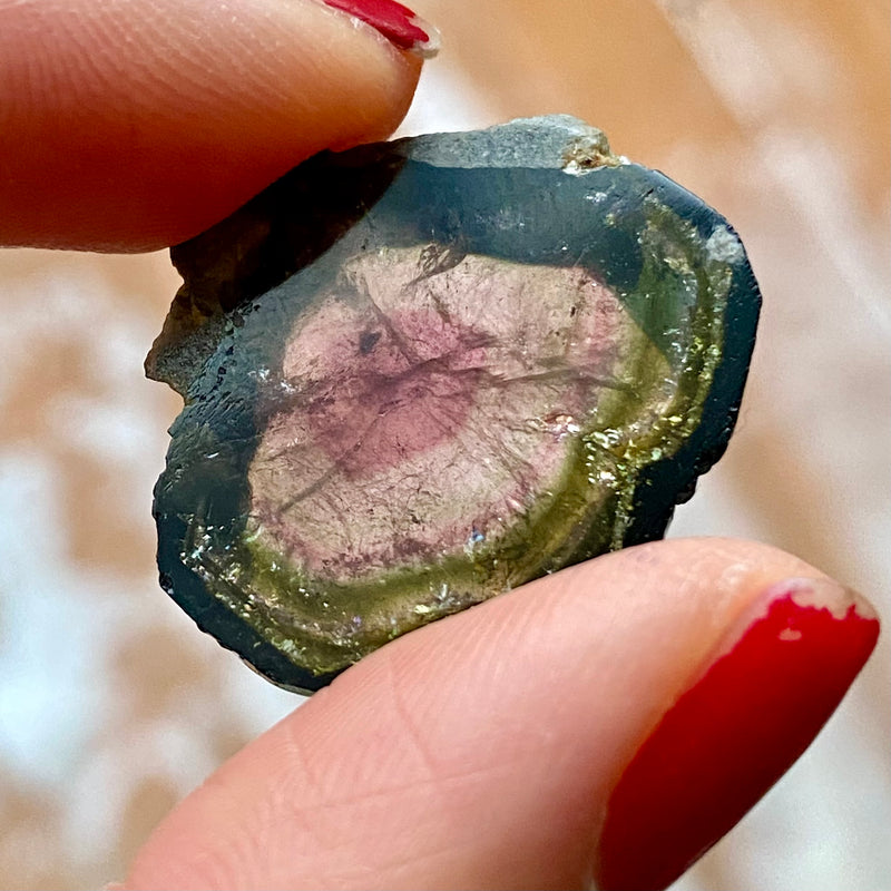 15.8 ct Pink and Green Liddicoatite Slice, Rare Tourmaline from Antsirabe, Madagascar