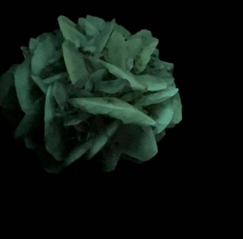 Gypsum Var. Selenite, Fluorescent and Phosphorescent. Red River Floodway, Winnipeg, Manitoba, Canada