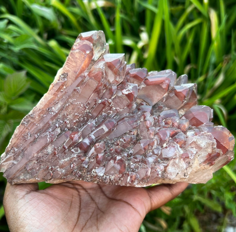 Huge Gorgeous Self-Standing Ishuko Red Phantom Quartz, Hematite included Quartz from the Central Province of Zambia