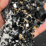 Black Tourmaline Crystal with Feldspar, from Erongo Mountain, Erongo Region, Namibia