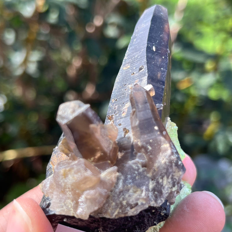 Black Tourmaline Crystal with Smoky Quartz Antenna from Rondekop, Erongo Mountain, Erongo Region, Namibia