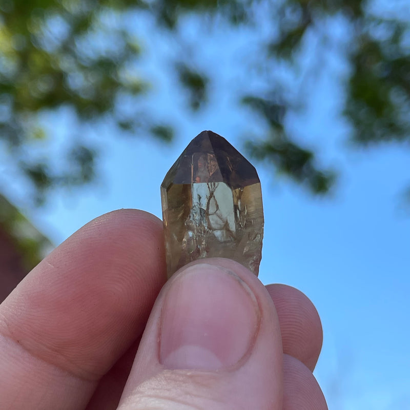 Over 1lb Lot of Kundalini Quartz Citrine, Democratic Republic of Congo, Lwena, Congo Citrine