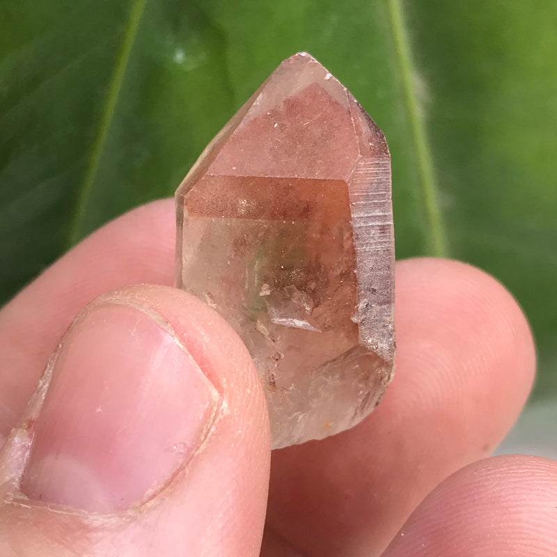 Ishuko Red Phantom Quartz, One Pound, 21 pieces Hematite included Quartz from the Central Province of Zambia