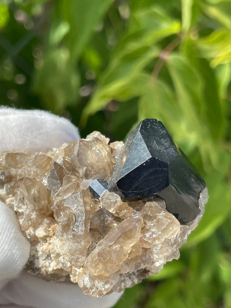 Black Tourmaline Crystal on Feldspar and Smoky Quartz Matrix, Mineral Specimen from Erongo Mountain, Erongo Region, Namibia