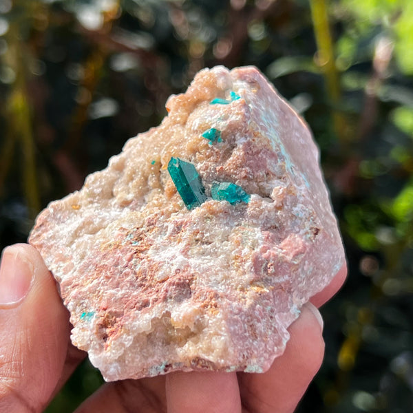 Dioptase on Matrix, Mineral Specimen from Kunene Region, Namibia, Africa