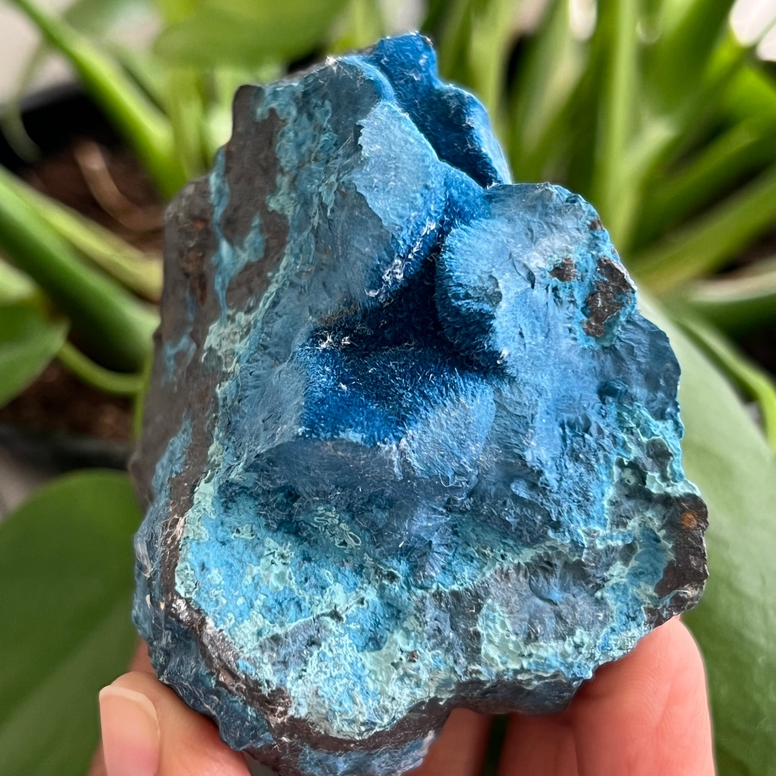 メタヴィティ スカルファイヤー バーンドブルー メタヴィティ スカルファイヤー バーンドブルー ヨーヨー メタヴィティ