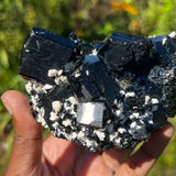 Lustrous Self-Standing Black Tourmaline Crystal with Feldspar, from Erongo Mountain, Erongo Region, Namibia