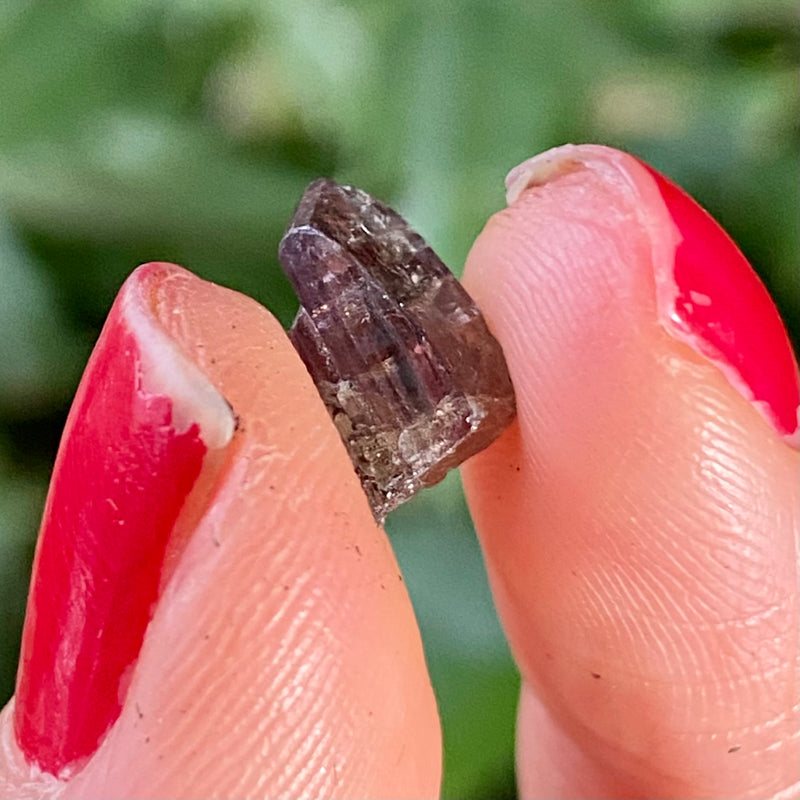 Pack of Three Tanzanite Crystal from Lelatema Mountains, Merelani Hills, Tanzania