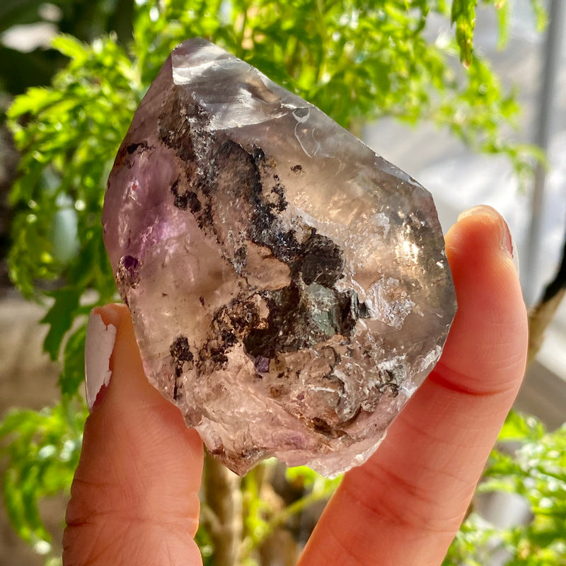 Shangaan Amethyst, From Zimbabwe