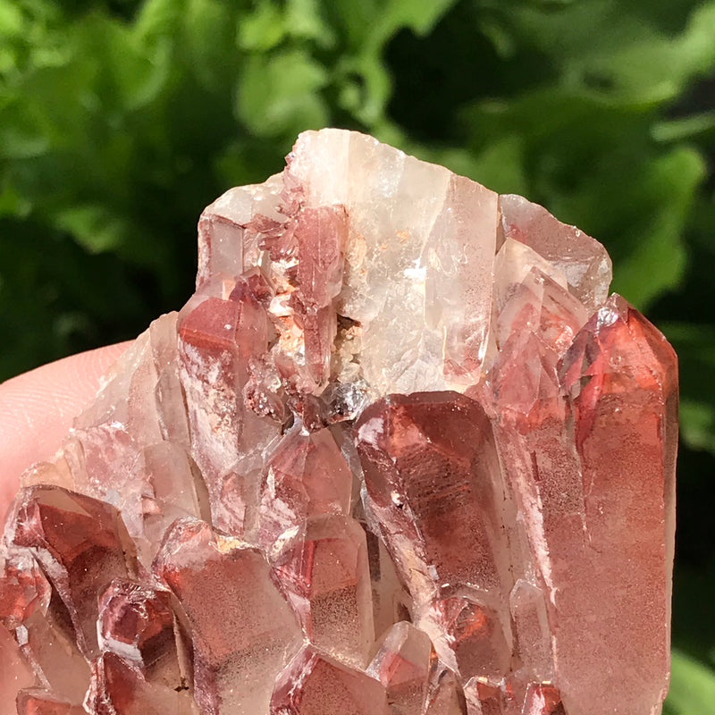 Tabular Ishuko Red Phantom Quartz cluster, Hematite included Quartz from the Central Province of Zambia