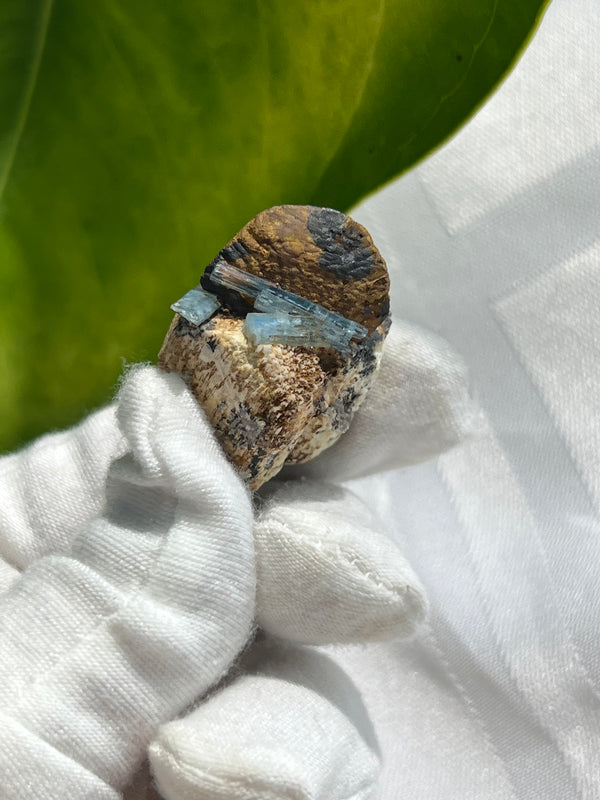 Aquamarine with Siderite on Feldspar Matrix, Mineral Specimen from Erongo Mountain, Erongo Region, Namibia