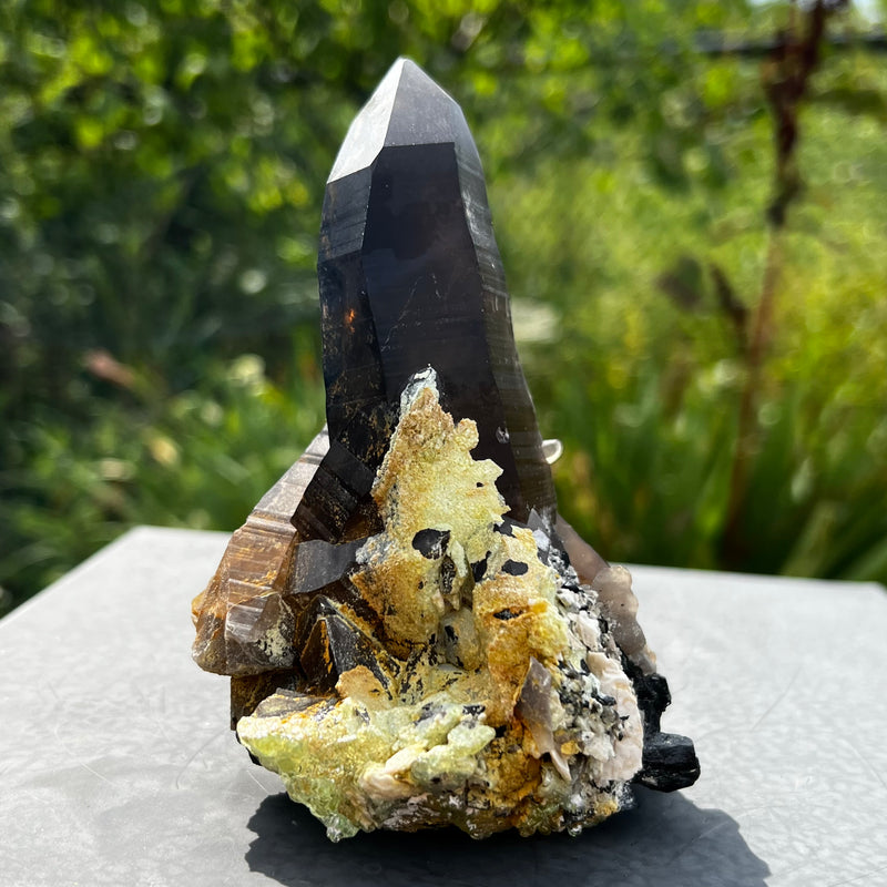 Gorgeous Self-Standing Smokey Quartz with Hyalite, Erongo Mountain, Erongo Region, Namibia