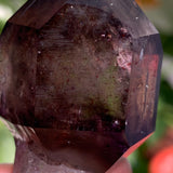 3.5” Enhydro Shangaan Amethyst Scepter from Zimbabwe