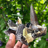 Gorgeous Self-Standing Smoky Quartz with Black Tourmaline and Hyalite, Rondekop, Erongo Mountain, Erongo Region, Namibia
