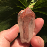 3 Ishuko Red Phantom Quartz, Hematite included Quartz from the Central Province of Zambia