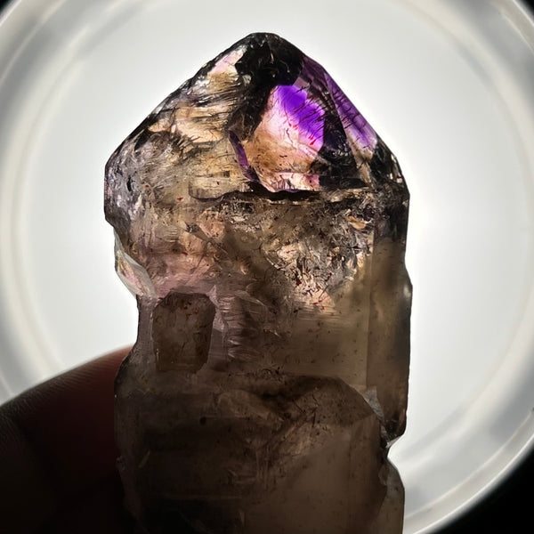 Smokey Quartz, Shangaan Amethyst Crystal From The Chibuku Mine, Gezani Communal Land, Zimbabwe