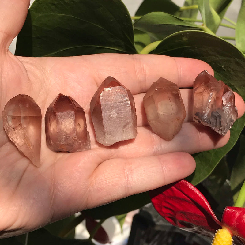 5 Ishuko Red Phantom Quartz, Hematite included Quartz from the Central Province of Zambia