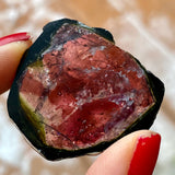 18 ct Green and Pink Liddicoatite Slice, Rare Tourmaline from Antsirabe, Madagascar