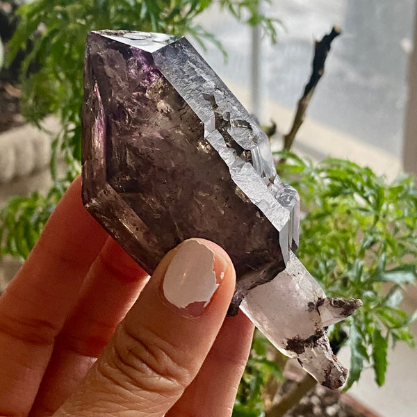 Beautiful Shangaan Amethyst, From Zimbabwe