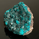 Druzy Dioptase Crystal, Mineral Specimen from Katanga, DR Congo