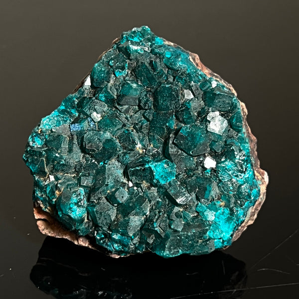 Druzy Dioptase Crystal, Mineral Specimen from Katanga, DR Congo