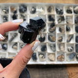 1.664kg of Mixed Lot of 54 Black Tourmaline pcs from Erongo Mountain, Erongo Region, Namibia