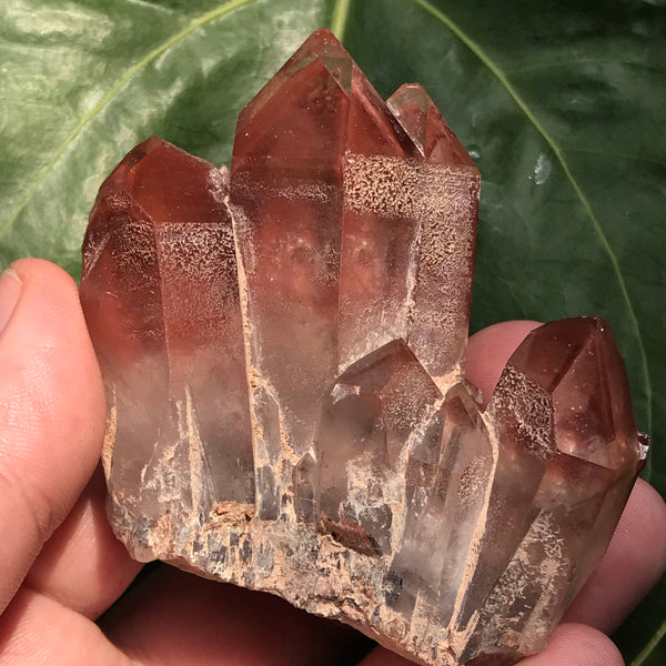 Vivid Ishuko Red Phantom Quartz Cluster, Hematite included Quartz from the Central Province of Zambia