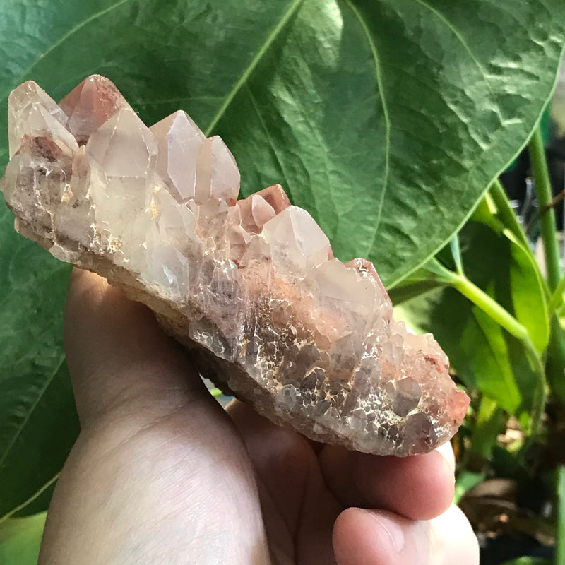 Gemmy Tabular Ishuko Red Phantom Quartz Cluster, Hematite included Quartz from the Central Province of Zambia