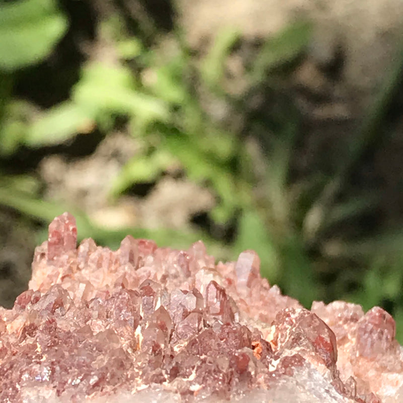 Leaning Ishuko Red Phantom Quartz Cluster, Hematite included Quartz from the Central Province of Zambia