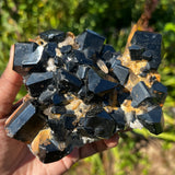 Lustrous Self-Standing Black Tourmaline Crystal with Smoky Quartz and Feldspar, from Erongo Mountain, Erongo Region, Namibia