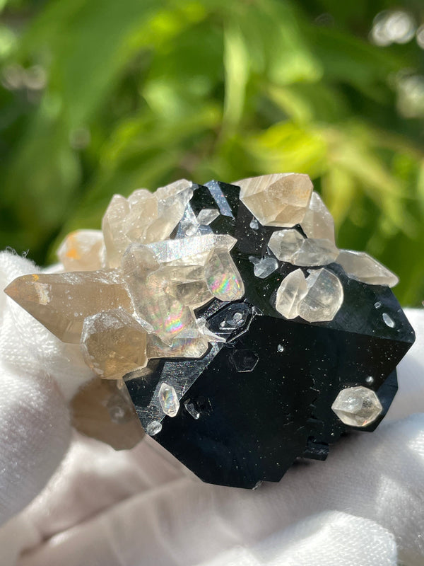 Black Tourmaline Crystal with Smoky Quartz, Mineral Specimen from Erongo Mountain, Erongo Region, Namibia