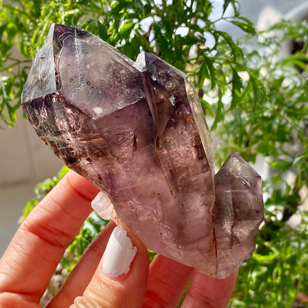 Triple Point Shangaan Amethyst, From Zimbabwe