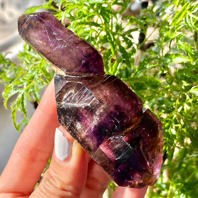 Shangaane Tree Shangaan Amethyst Sceptre, From Zimbabwe – Nharo!