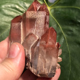 Vivid Ishuko Red Phantom Quartz Cluster, Hematite included Quartz from the Central Province of Zambia