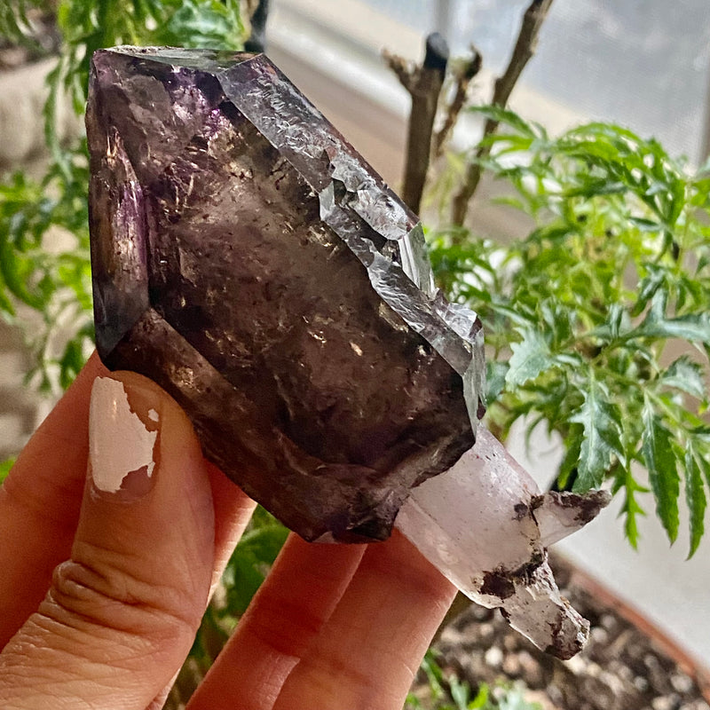 Beautiful Shangaan Amethyst, From Zimbabwe