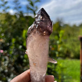 Gorgeous 13 cm Shangaan Amethyst Crystal with Hematite Inclusions From Zimbabwe