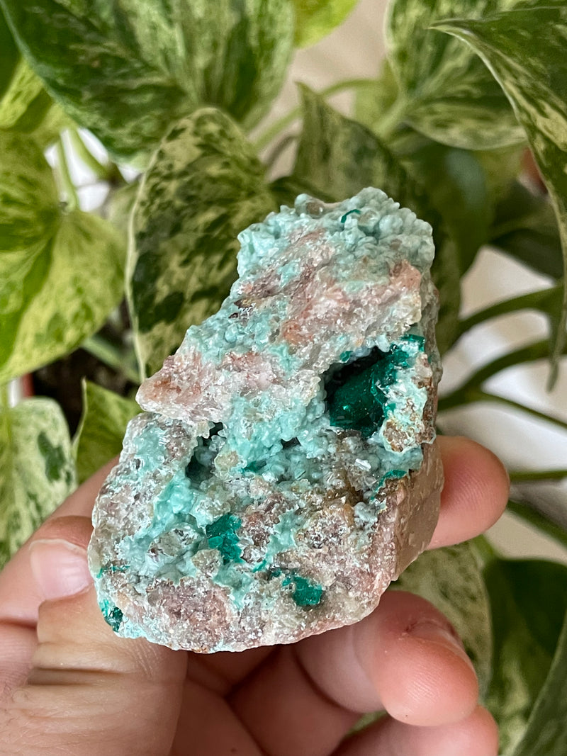 Dioptase vert émeraude sur calcite baryte et quartz Tsumeb Namibie Dioptase vert émeraude sur calcite baryte et quartz Tsumeb Namibie