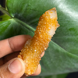 1 piece of Witch’s Finger Quartz from Boukenhoethoek, South Africa