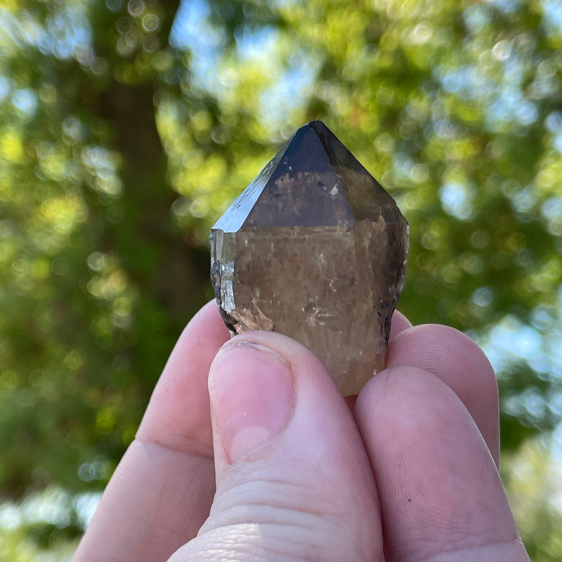 Over 1lb Lot of Kundalini Quartz Citrine, Democratic Republic of Congo, Lwena, Congo Citrine