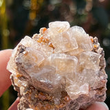 Gorgeous Fluorite Speciman, Flamboro Quarry, Dundas, Ontario, Canada