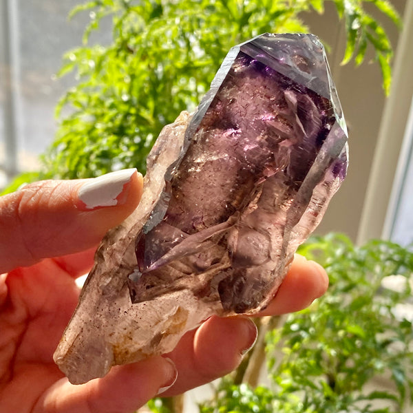 Shangaan Amethyst, From Zimbabwe