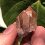 5 Ishuko Red Phantom Quartz, Hematite included Quartz from the Central Province of Zambia