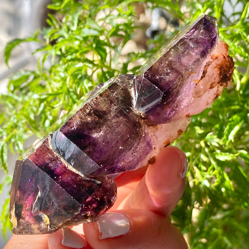 Shangaan Amethyst Sceptre, From Zimbabwe