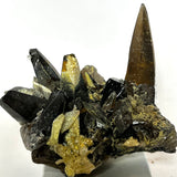 Gorgeous Self-Standing Smoky Quartz with Black Tourmaline and Hyalite, Rondekop, Erongo Mountain, Erongo Region, Namibia