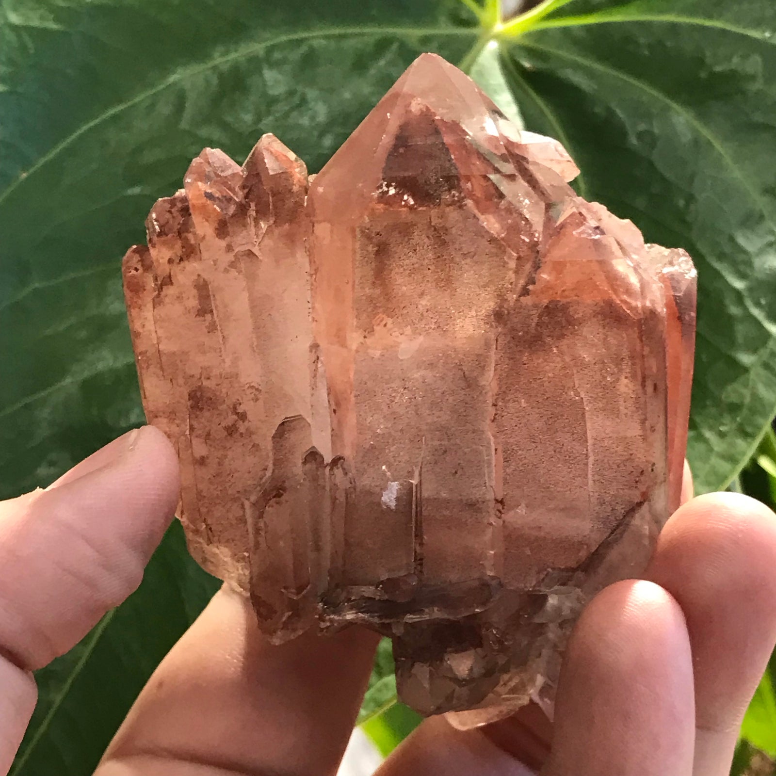 Ishuko Red Phantom Quartz Cluster, Hematite included Quartz from