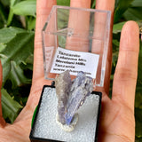 31.6 ct Blue Tanzanite Crystal from Lelatema Mountains, Merelani Hills, Tanzania