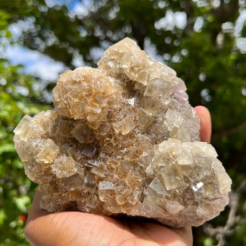 4” Self-Standing Erongo Fluorite