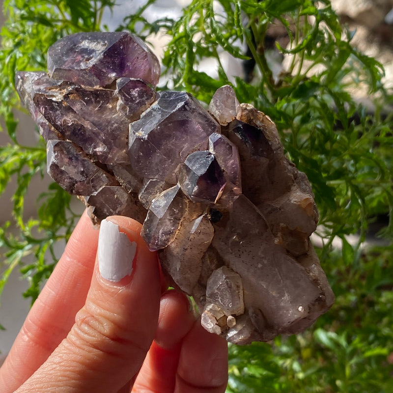 Shangaan Amethyst Cluster, From Zimbabwe